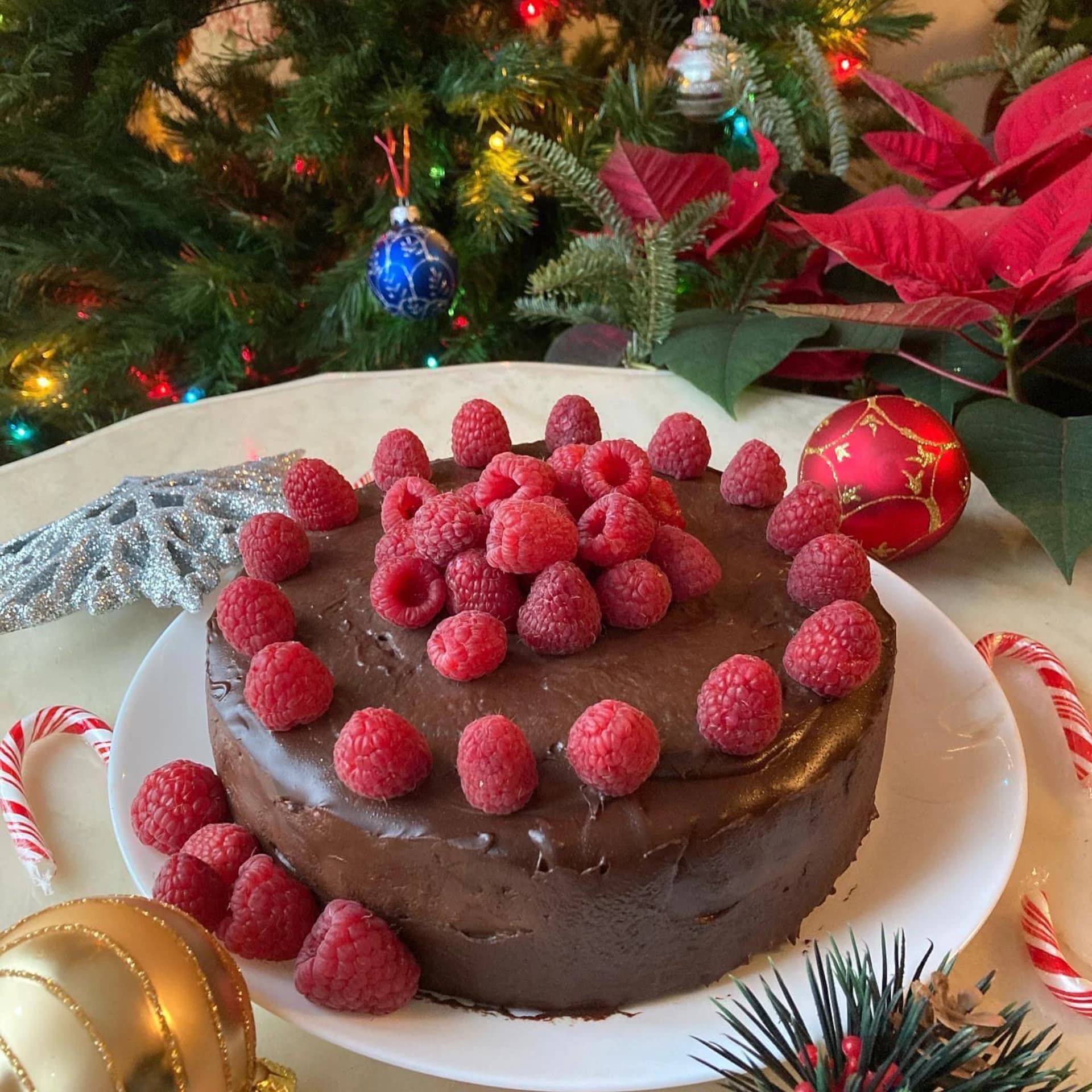 Chocolate Raspberry Mousse Cake