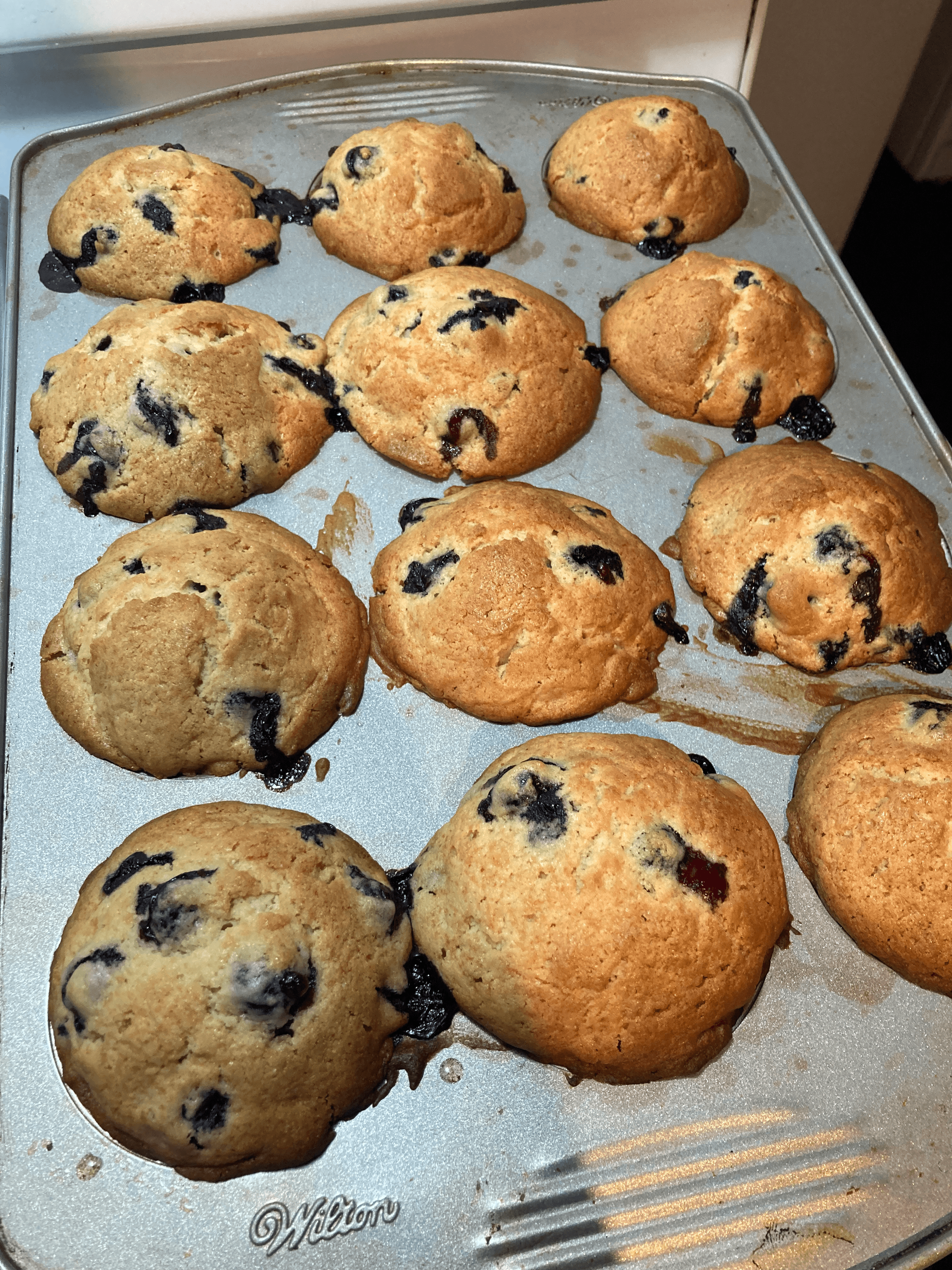 Fluffy Blueberry Muffins