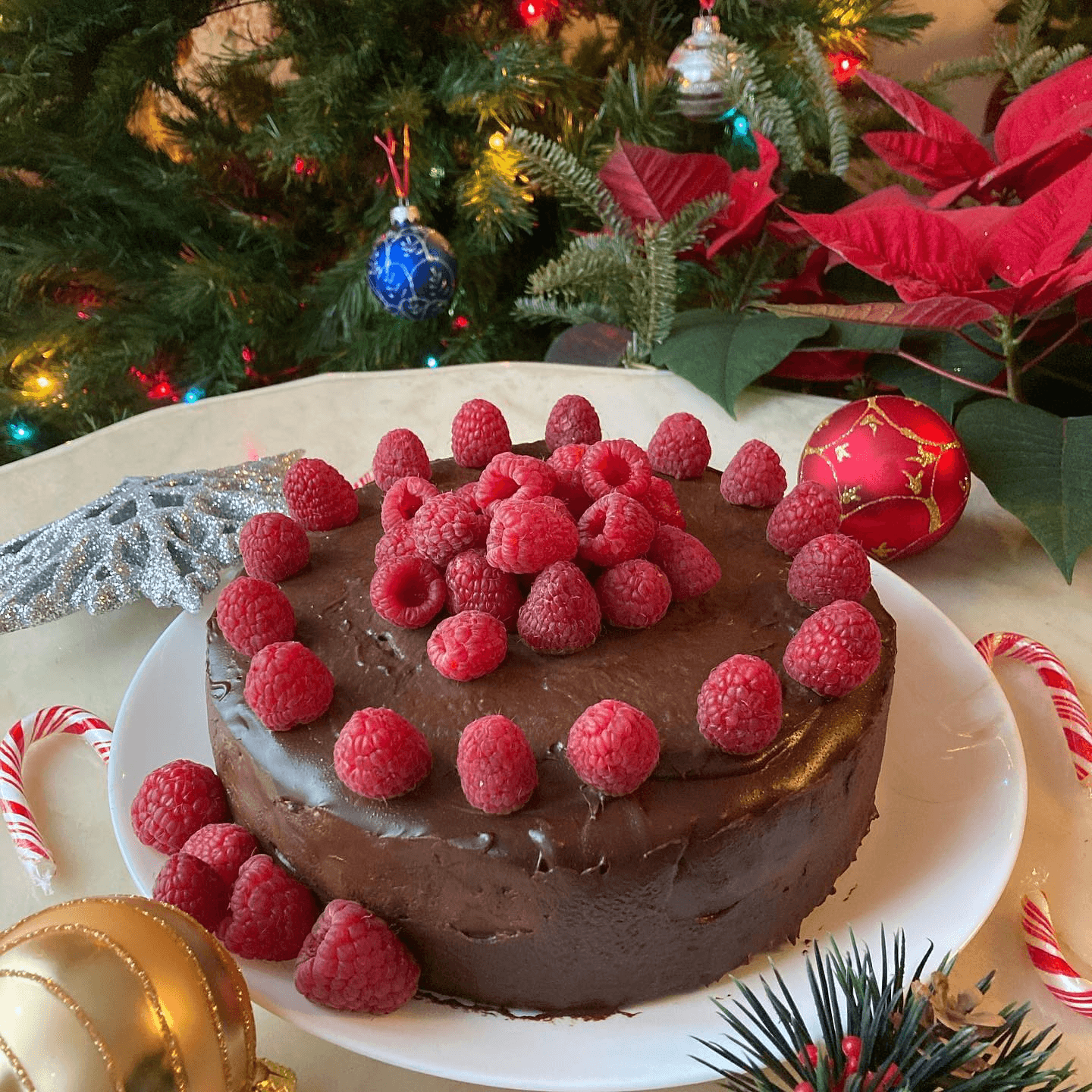 Chocolate Raspberry Mousse Cake